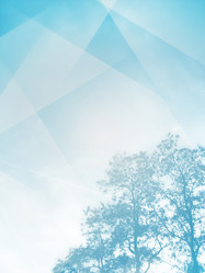 Similar image 8460848