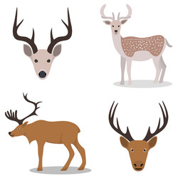 Similar image 8460913