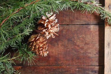 Similar image 8460947