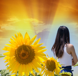 Similar image 8460995