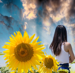 Similar image 8460996