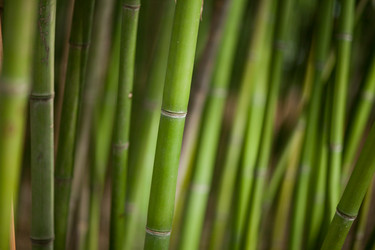 Similar image 8461031