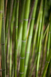 Similar image 8461032