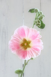 Similar image 8461043