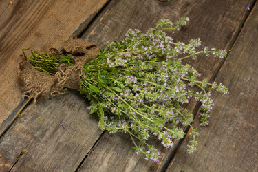 Similar image 8461044