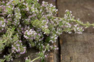 Similar image 8461047