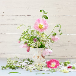 Similar image 8461053