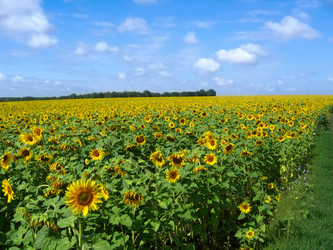 Similar image 8461122