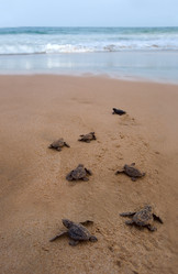 Similar image 8461126