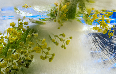 Similar image 8461148