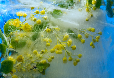 Similar image 8461150