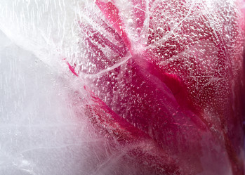 Similar image 8461156