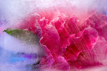 Similar image 8461162