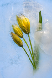 Similar image 8461164