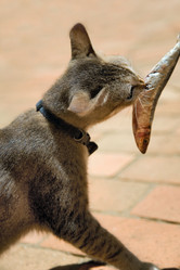 Similar image 8461178