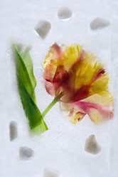 Similar image 8461186