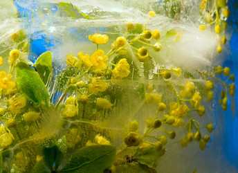 Similar image 8461188