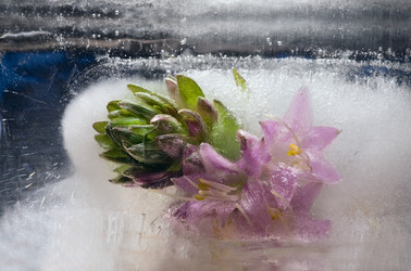 Similar image 8461192