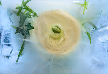 Similar image 8461193