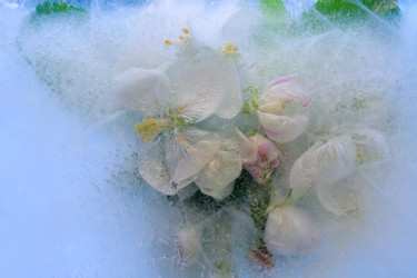 Similar image 8461199