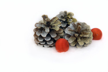 Similar image 8461220