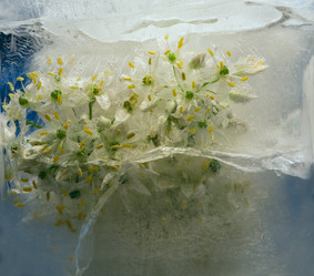 Similar image 8461295