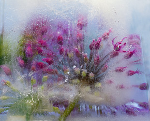 Similar image 8461296