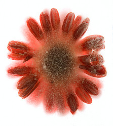 Similar image 8461298