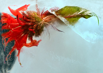 Similar image 8461300