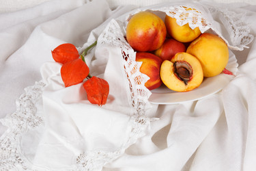 Similar image 8461333