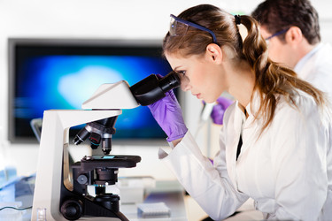 Similar image 8461647