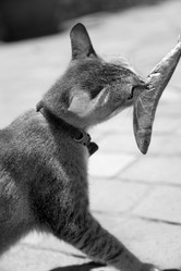 Similar image 8461792