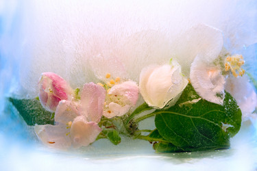 Similar image 8461880