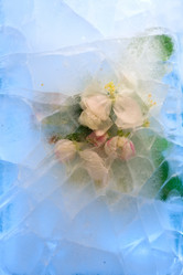 Similar image 8461881