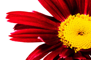 Similar image 8462001