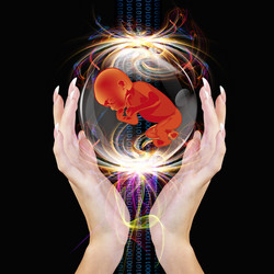 Similar image 8462009