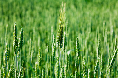 Similar image 8462061