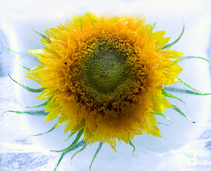 Similar image 8462203