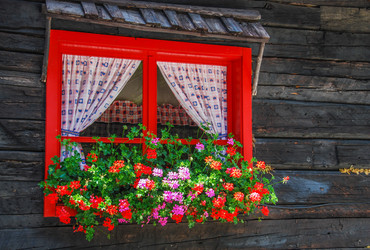 Similar image 8462279