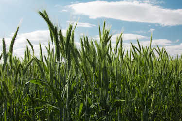 Similar image 8462330