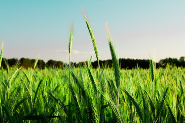 Similar image 8462337