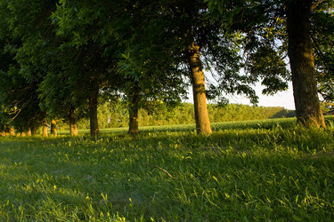 Similar image 8462345