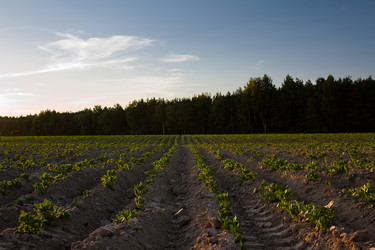 Similar image 8462346