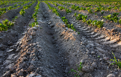 Similar image 8462347