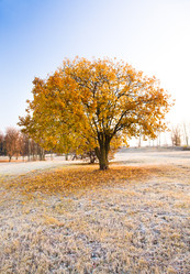 Similar image 8462388