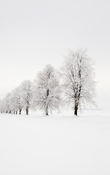 Similar image 8462436