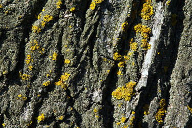 Similar image 8462438