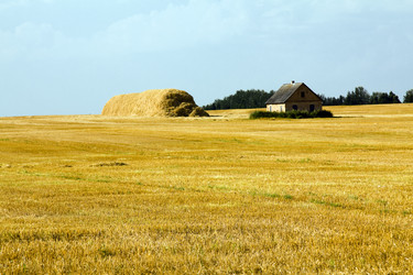 Similar image 8462441