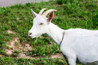 Similar image 8462447