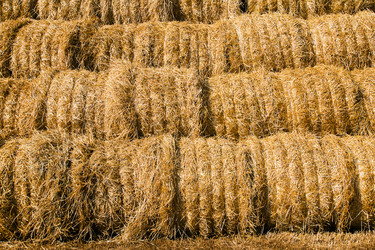 Similar image 8462449